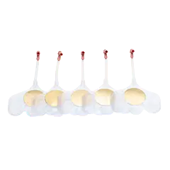 Kurslungen für Baby QCPR 