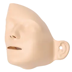 Gesichtsteile für Rescuci + Little Anne