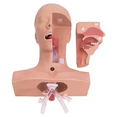 Absaug-Trainer Type II