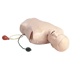 Laerdal Deluxe Difficult Airway Trainer 