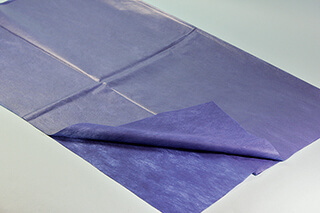 Einmallaken 210 x 80 cm, PP-Vlies laminiert, wasserabweisend, blau